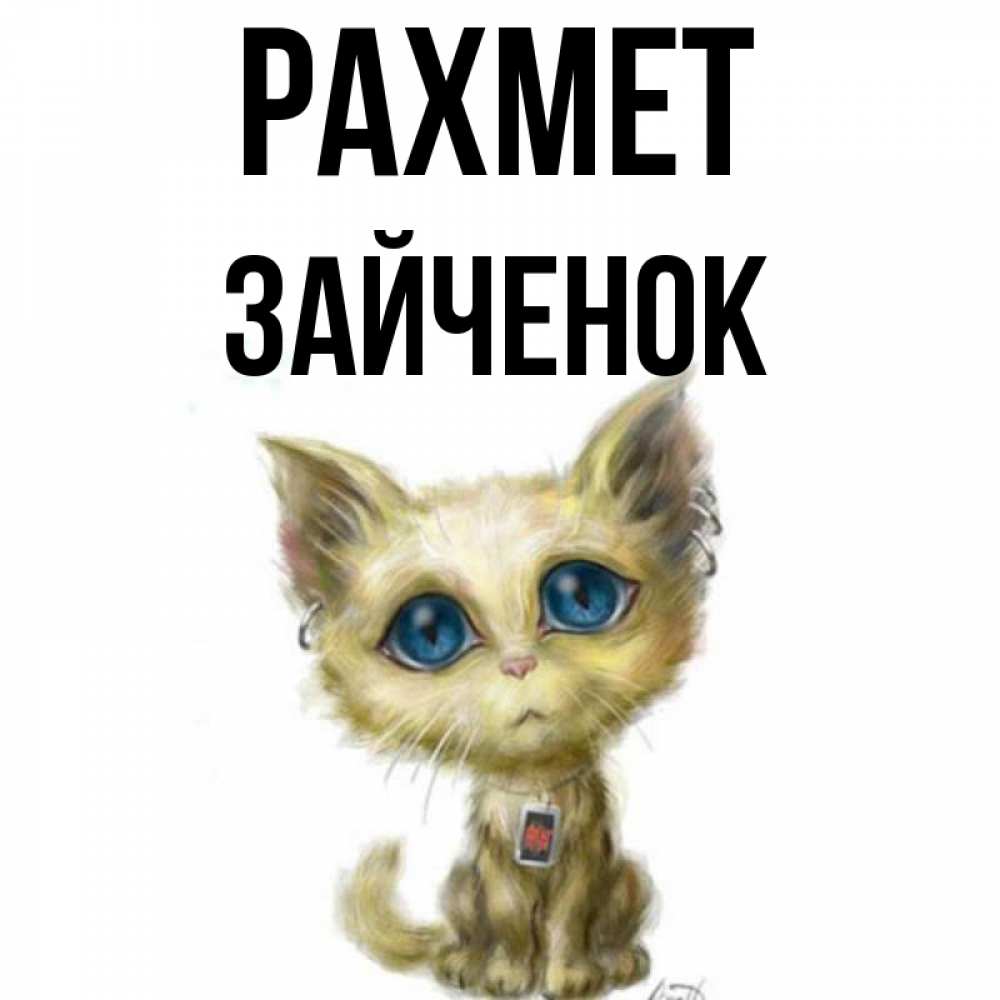 Күн сайын ашық хат с именем, Зайченок рахмет рисованный кот благодарит вас Онлайн тегін жүктеп алу тілектері бар керемет карта 