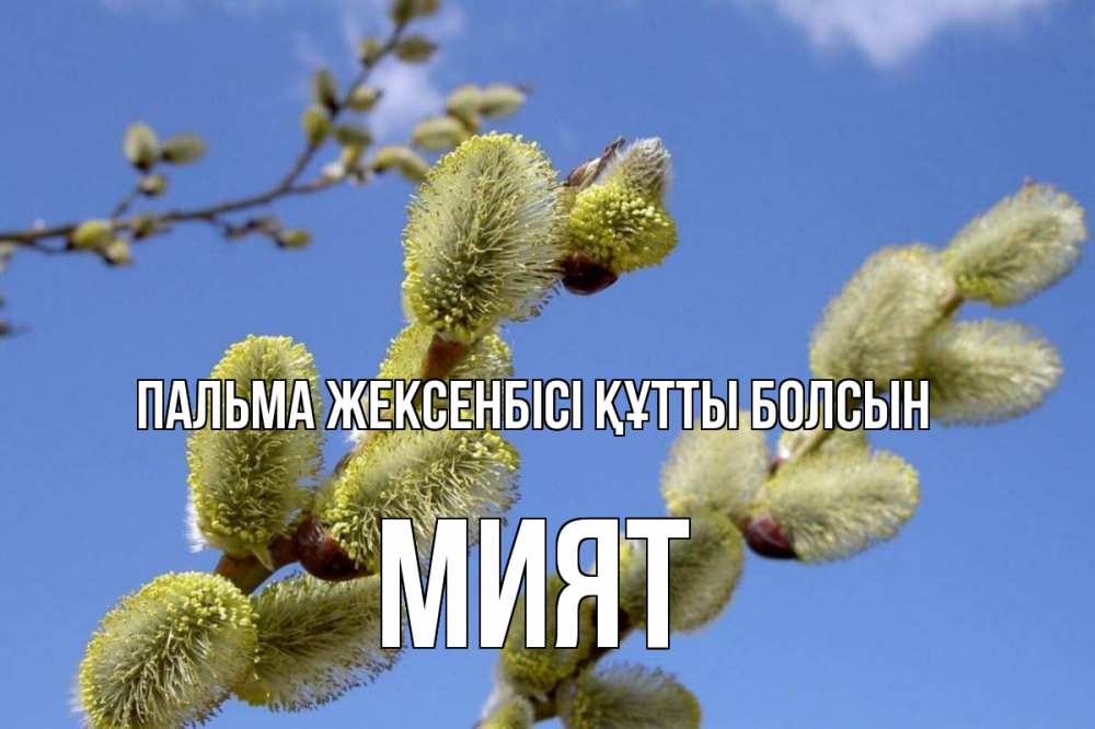 Күн сайын ашық хат с именем, МИЯТ Пальма жексенбісі құтты болсын верба Онлайн тегін жүктеп алу тілектері бар керемет карта 