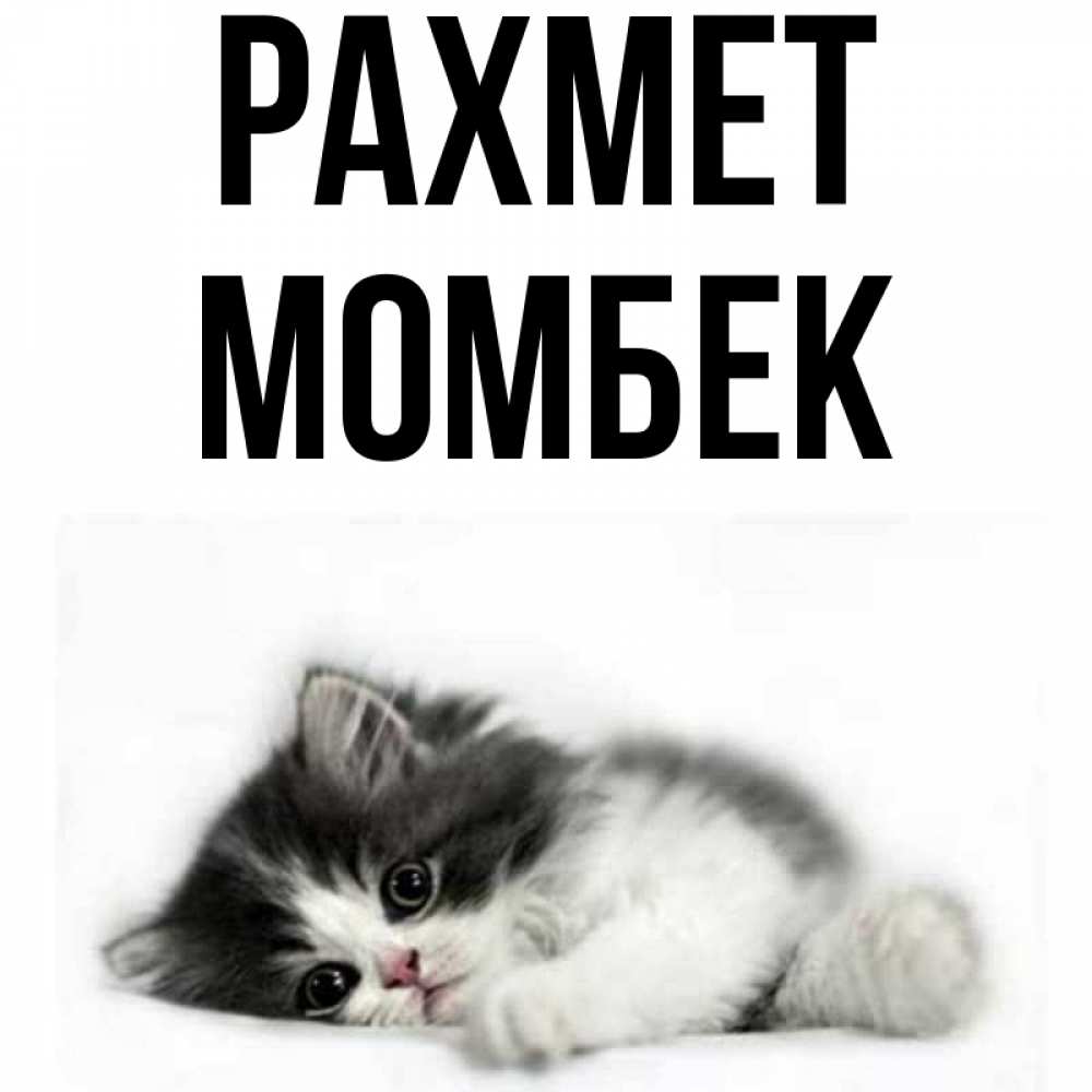 Күн сайын ашық хат с именем, МОМБЕК рахмет черный и белый кот Онлайн тегін жүктеп алу тілектері бар керемет карта 