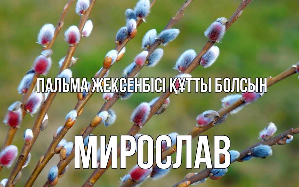 Күн сайын ашық хат с именем, Мирослав Пальма жексенбісі құтты болсын верба Онлайн тегін жүктеп алу тілектері бар керемет карта 