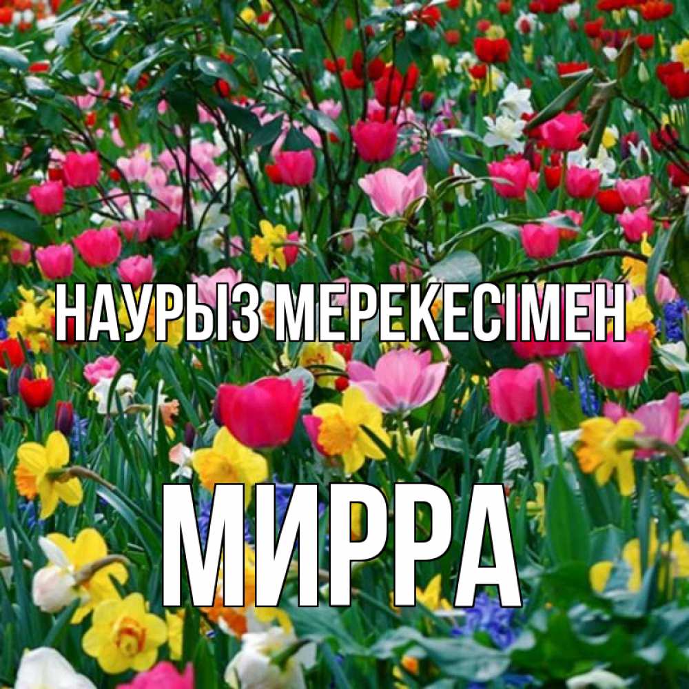Күн сайын ашық хат с именем, Мирра Наурыз мерекесімен с наурызом праздником весны поздравления для женщины Онлайн тегін жүктеп алу тілектері бар керемет карта 