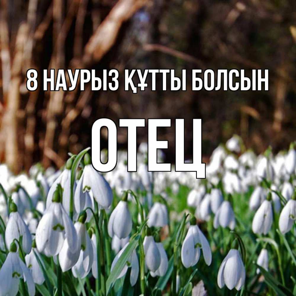 Күн сайын ашық хат с именем, Отец 8 наурыз құтты болсын с подснежниками 1 Онлайн тегін жүктеп алу тілектері бар керемет карта 