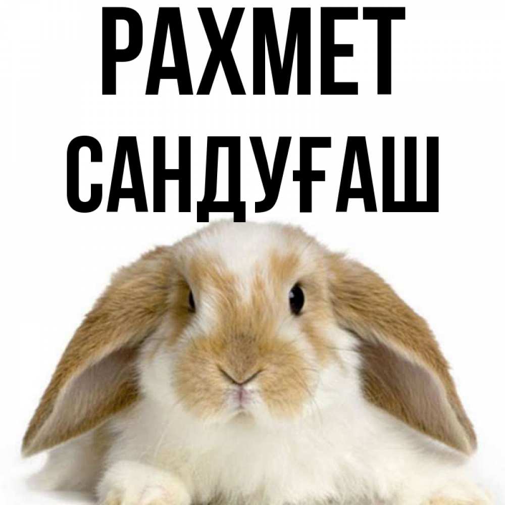 Күн сайын ашық хат с именем, САНДУҒАШ рахмет коричнево белый заяц Онлайн тегін жүктеп алу тілектері бар керемет карта 