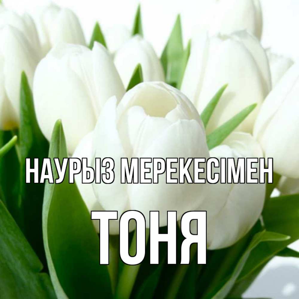 Күн сайын ашық хат с именем, Тоня Наурыз мерекесімен цветы Онлайн тегін жүктеп алу тілектері бар керемет карта 