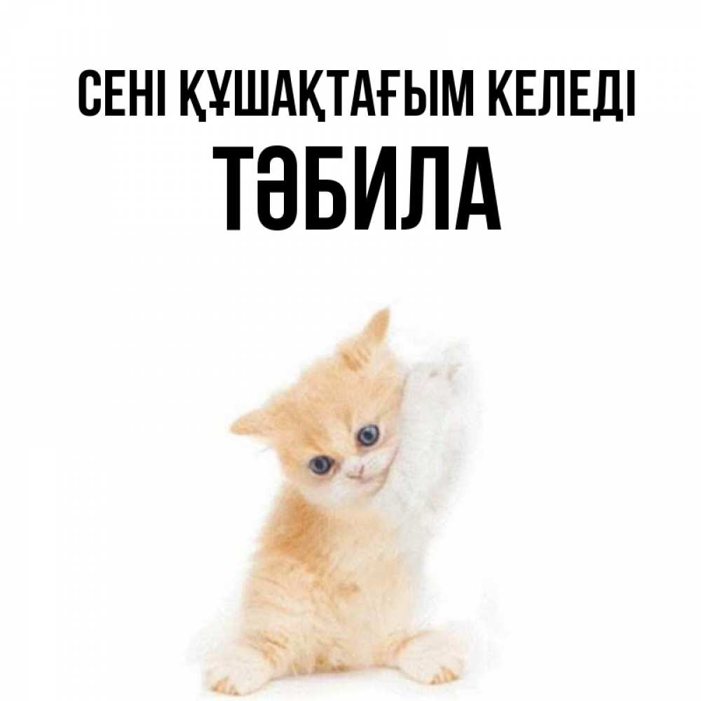 Күн сайын ашық хат с именем, ТӘБИЛА сені құшақтағым келеді я хочу очень скорее обнимаешек Онлайн тегін жүктеп алу тілектері бар керемет карта 