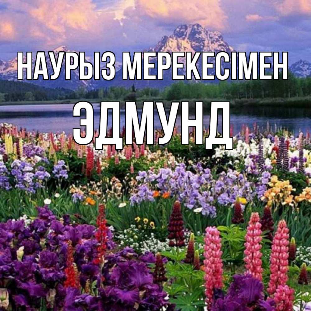 Күн сайын ашық хат с именем, Эдмунд Наурыз мерекесімен праздник весны наурыз Онлайн тегін жүктеп алу тілектері бар керемет карта 