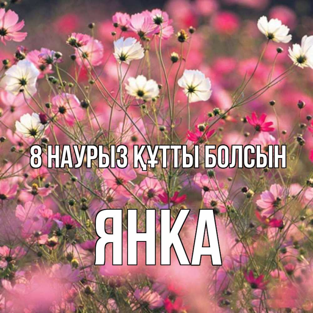 Күн сайын ашық хат с именем, Янка 8 наурыз құтты болсын красиво 1 Онлайн тегін жүктеп алу тілектері бар керемет карта 