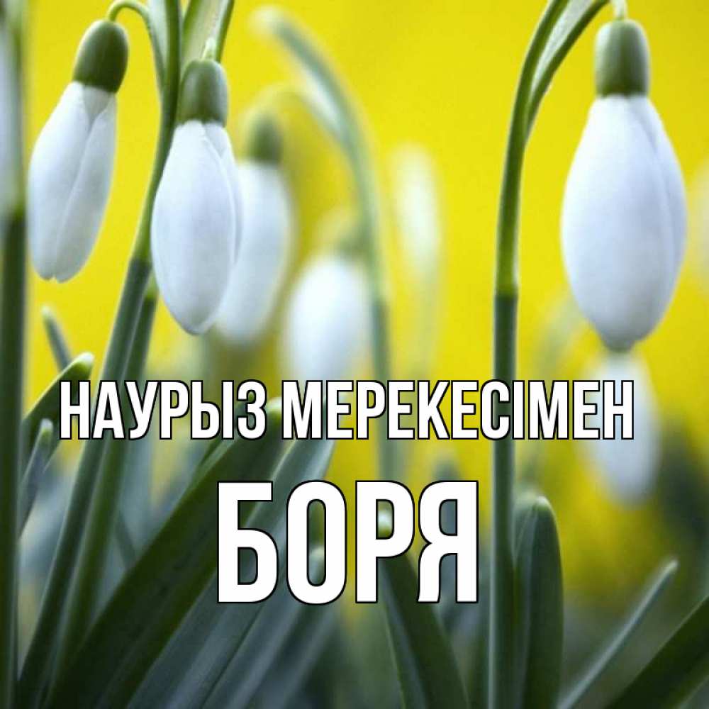 Күн сайын ашық хат с именем, Боря Наурыз мерекесімен весенние цветы Онлайн тегін жүктеп алу тілектері бар керемет карта 