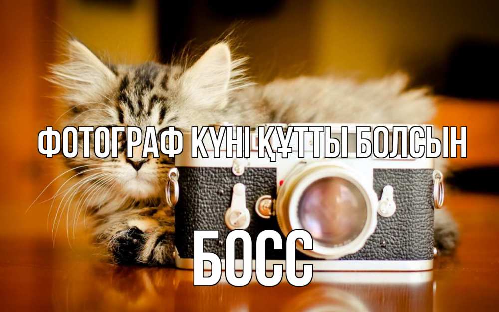 Күн сайын ашық хат с именем, Босс Фотограф күні құтты болсын с днем фотографа Онлайн тегін жүктеп алу тілектері бар керемет карта 