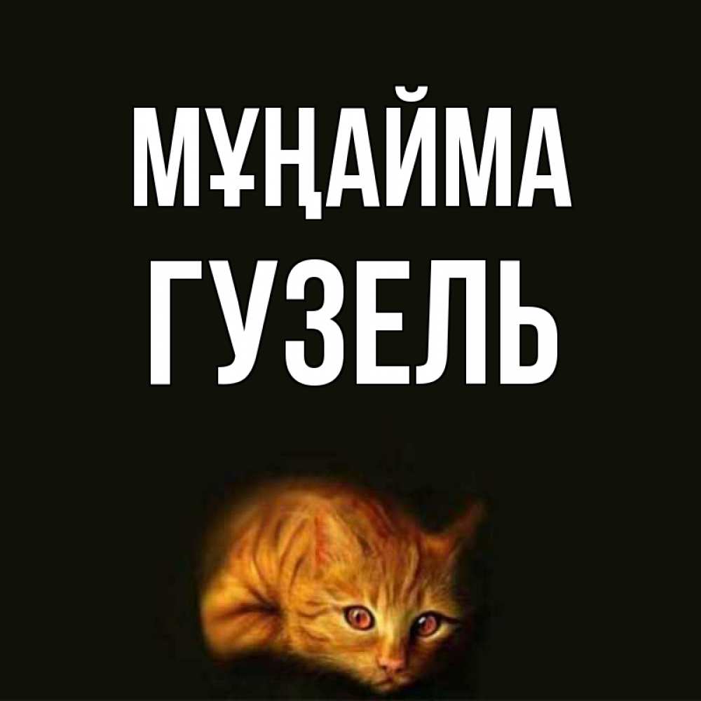Күн сайын ашық хат с именем, Гузель Мұңайма лежащий кот в темноте Онлайн тегін жүктеп алу тілектері бар керемет карта 