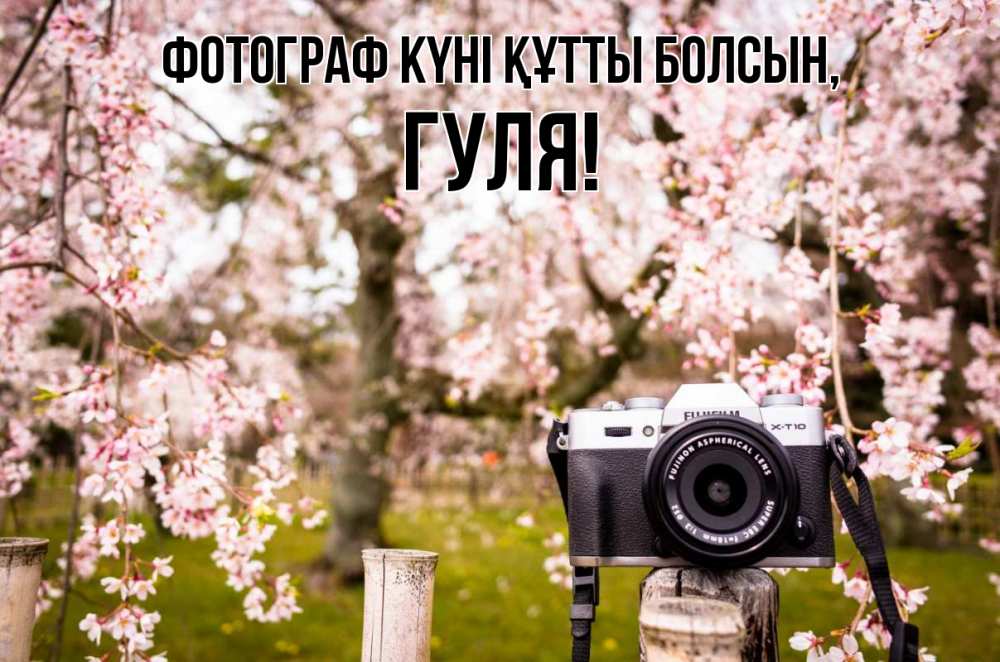 Күн сайын ашық хат с именем, Гуля Фотограф күні құтты болсын сирень с днем фотографа, фотоаппарат Онлайн тегін жүктеп алу тілектері бар керемет карта 
