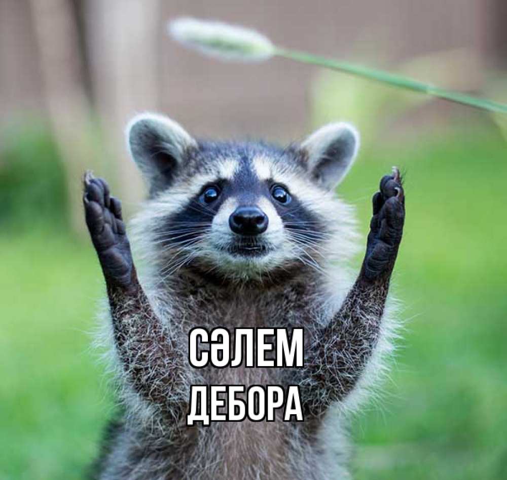 Күн сайын ашық хат с именем, Дебора Сәлем животные Онлайн тегін жүктеп алу тілектері бар керемет карта 