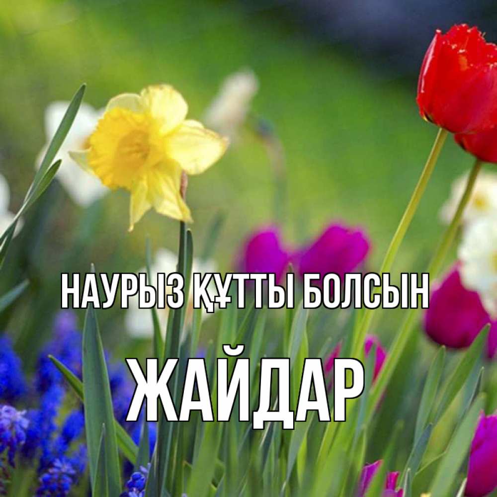 Күн сайын ашық хат с именем, Жайдар Наурыз құтты болсын наурыз  3 открытки Онлайн тегін жүктеп алу тілектері бар керемет карта 
