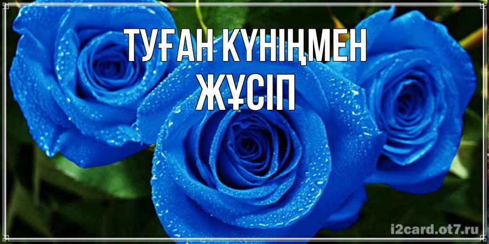Күн сайын ашық хат с именем, Жұсіп Туған күніңмен розы с синим цветом Онлайн тегін жүктеп алу тілектері бар керемет карта 