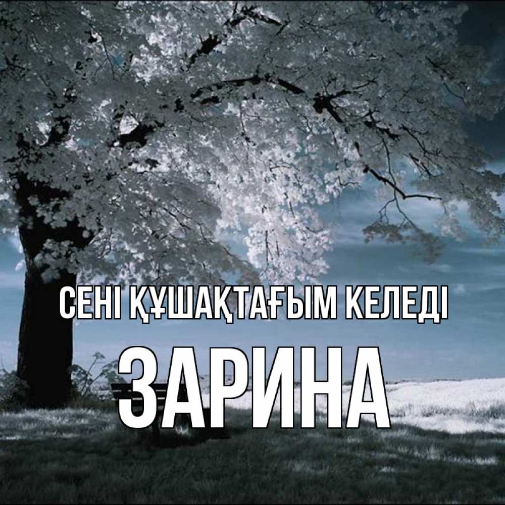 Күн сайын ашық хат с именем, ЗАРИНА сені құшақтағым келеді дерево Онлайн тегін жүктеп алу тілектері бар керемет карта 