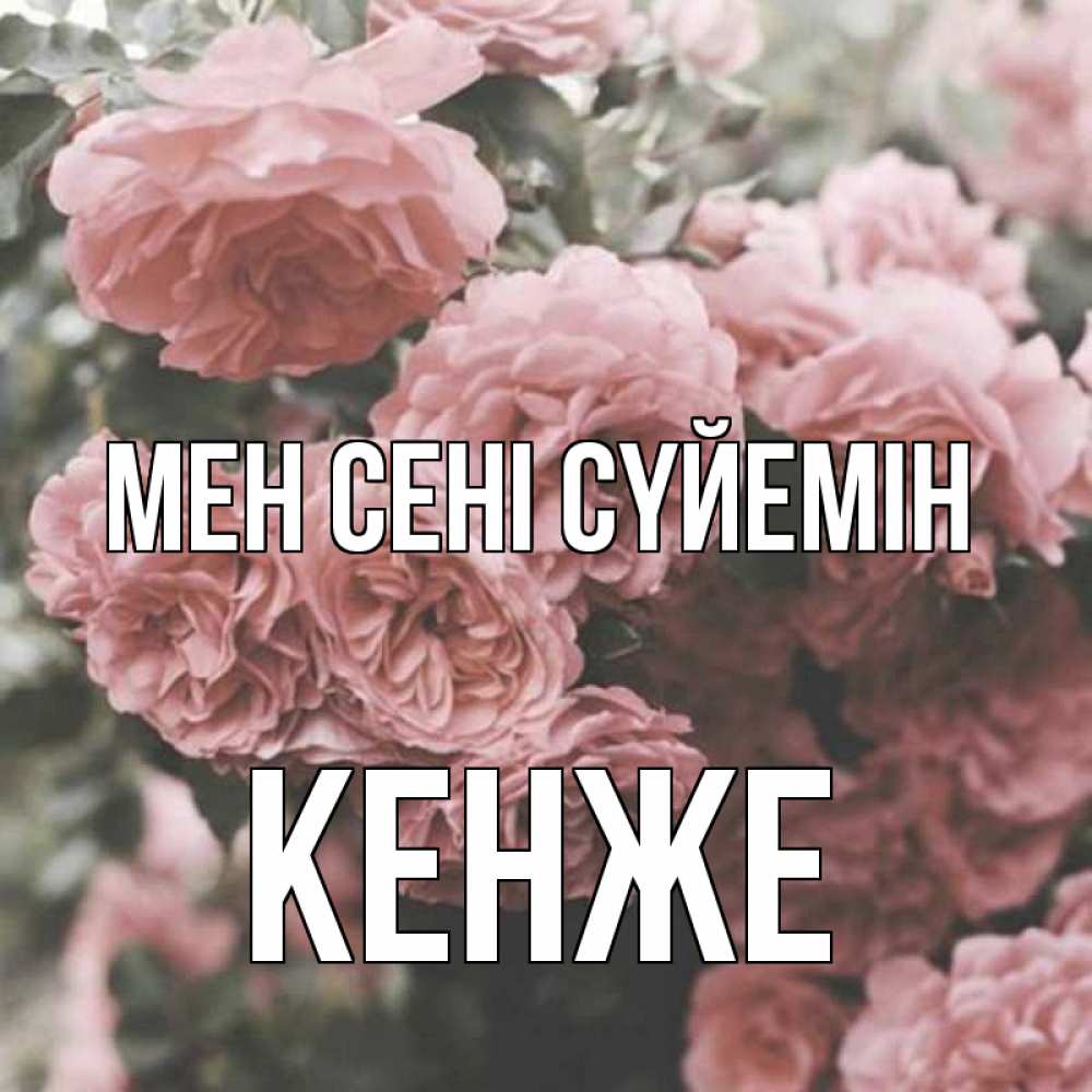Күн сайын ашық хат с именем, Кенже Мен сені сүйемін розы 3 Онлайн тегін жүктеп алу тілектері бар керемет карта 