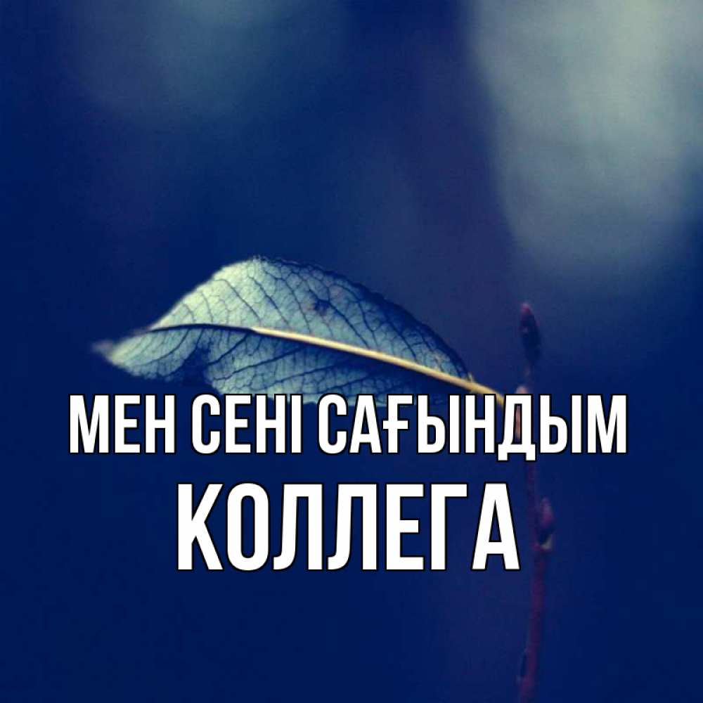 Күн сайын ашық хат с именем, Коллега Мен сені сағындым одна ветка 1 Онлайн тегін жүктеп алу тілектері бар керемет карта 
