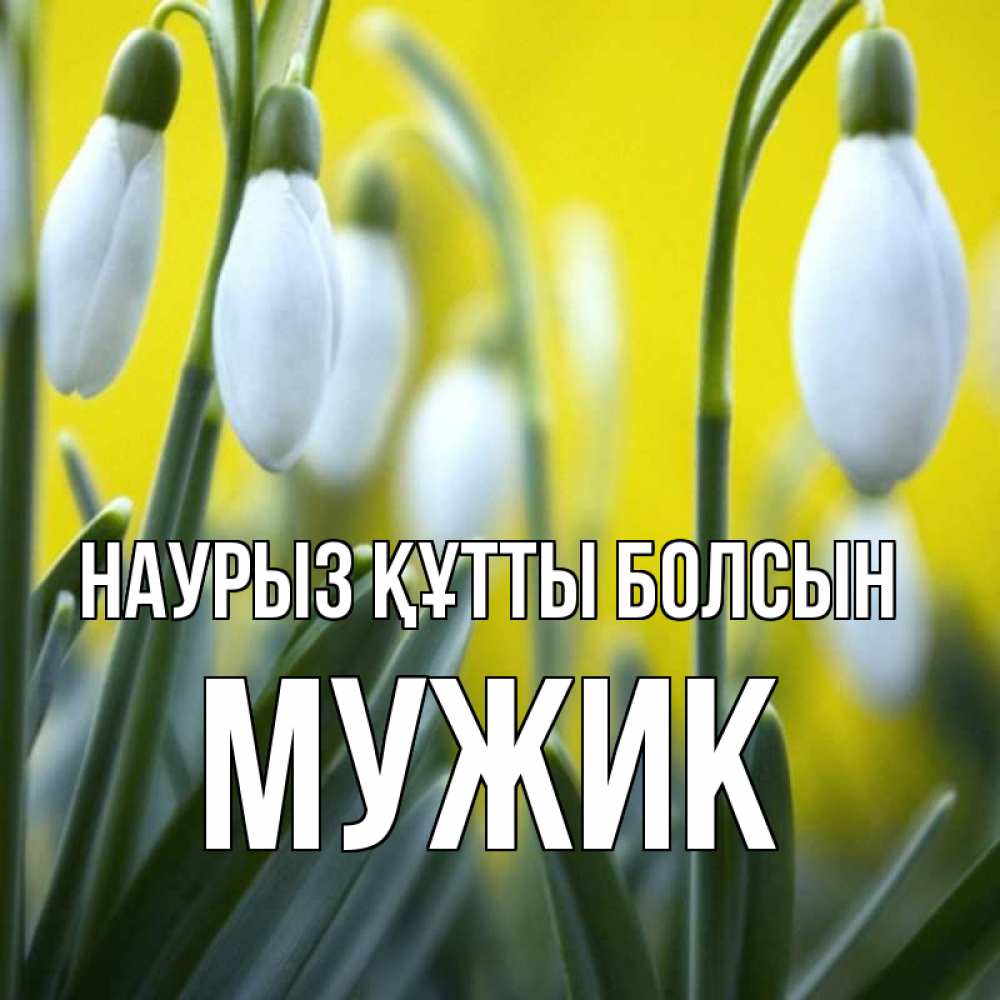 Күн сайын ашық хат с именем, Мужик Наурыз құтты болсын весенние цветы Онлайн тегін жүктеп алу тілектері бар керемет карта 