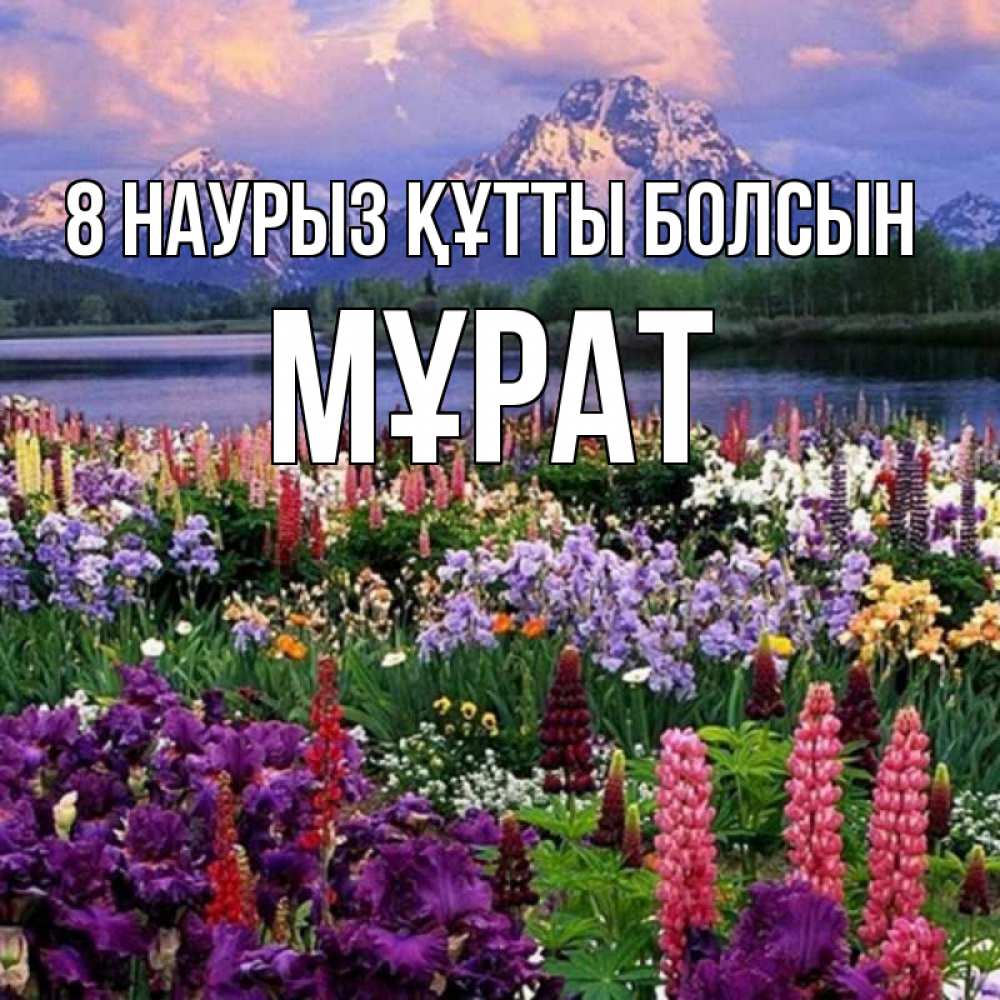Күн сайын ашық хат с именем, МҰРАТ 8 наурыз құтты болсын международный женский день Онлайн тегін жүктеп алу тілектері бар керемет карта 
