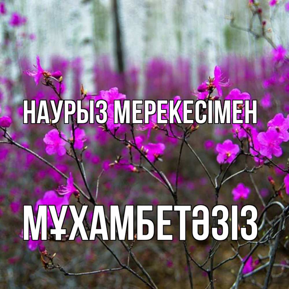 Күн сайын ашық хат с именем, МҰХАМБЕТӘЗІЗ Наурыз мерекесімен дикие цветы Онлайн тегін жүктеп алу тілектері бар керемет карта 