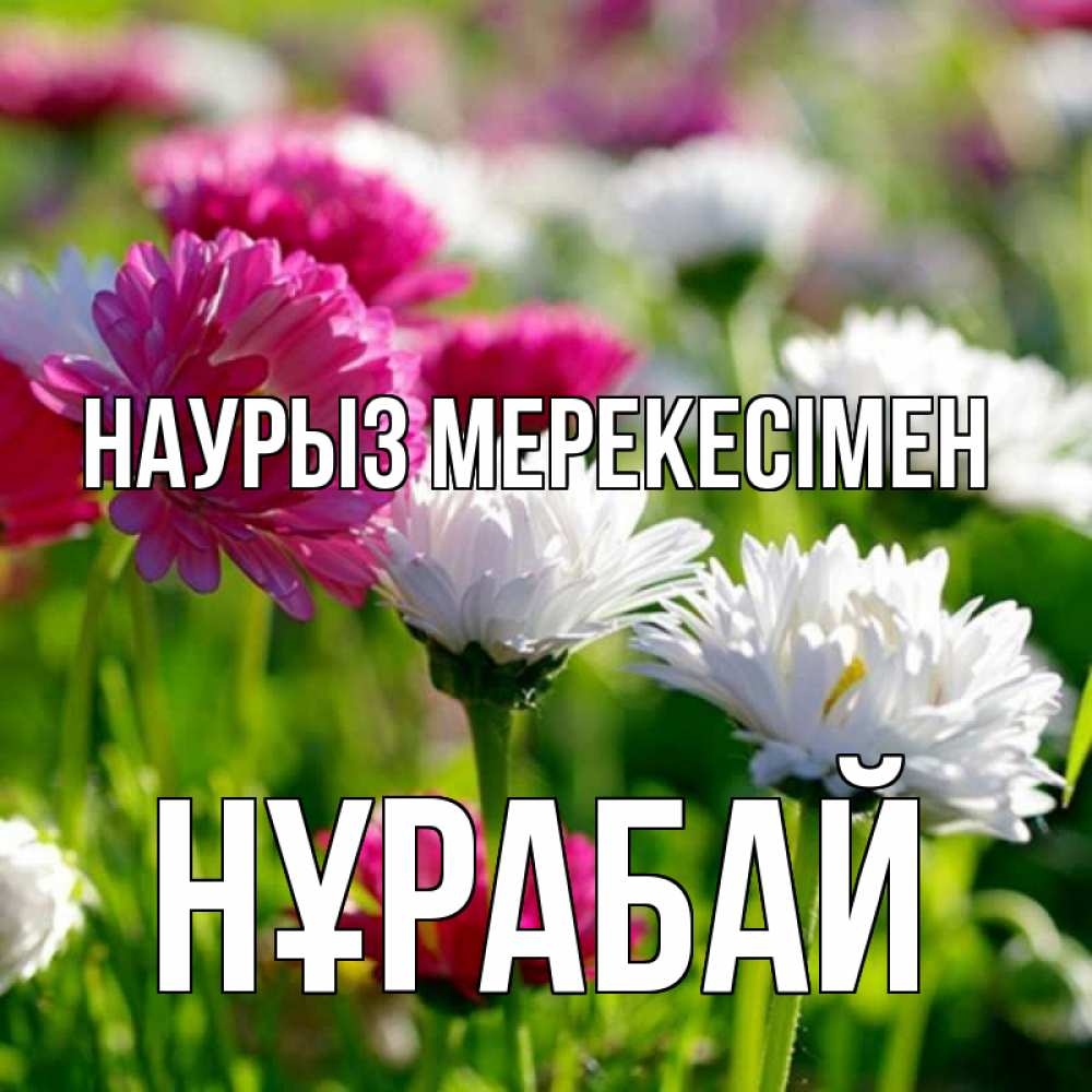 Күн сайын ашық хат с именем, НҰРАБАЙ Наурыз мерекесімен праздник весны наурыз красота Онлайн тегін жүктеп алу тілектері бар керемет карта 