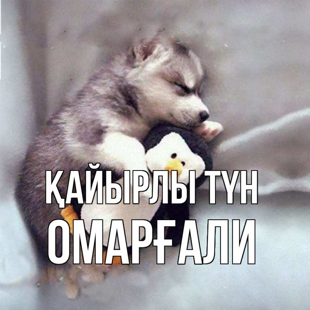 Күн сайын ашық хат с именем, ОМАРҒАЛИ Қайырлы түн обнимашки щенка и пингвина Онлайн тегін жүктеп алу тілектері бар керемет карта 