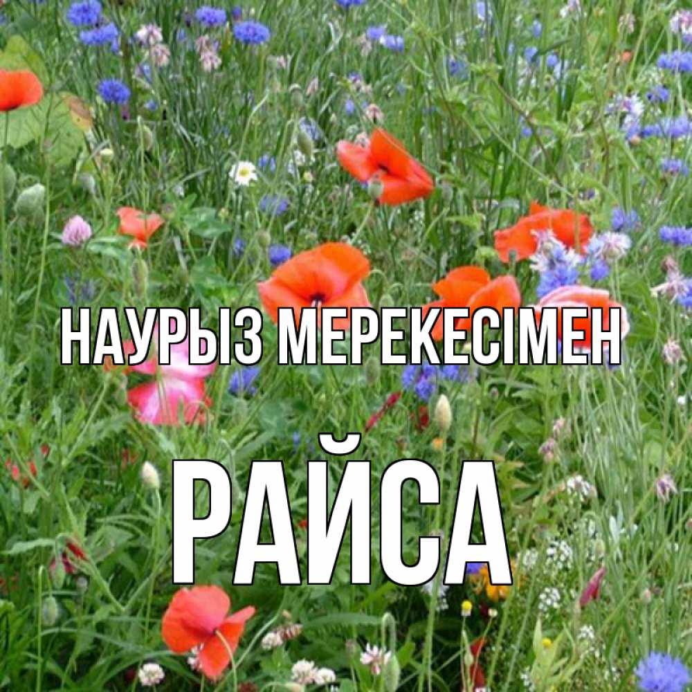 Күн сайын ашық хат с именем, РАЙСА Наурыз мерекесімен праздник весны наурыз супер открытка Онлайн тегін жүктеп алу тілектері бар керемет карта 