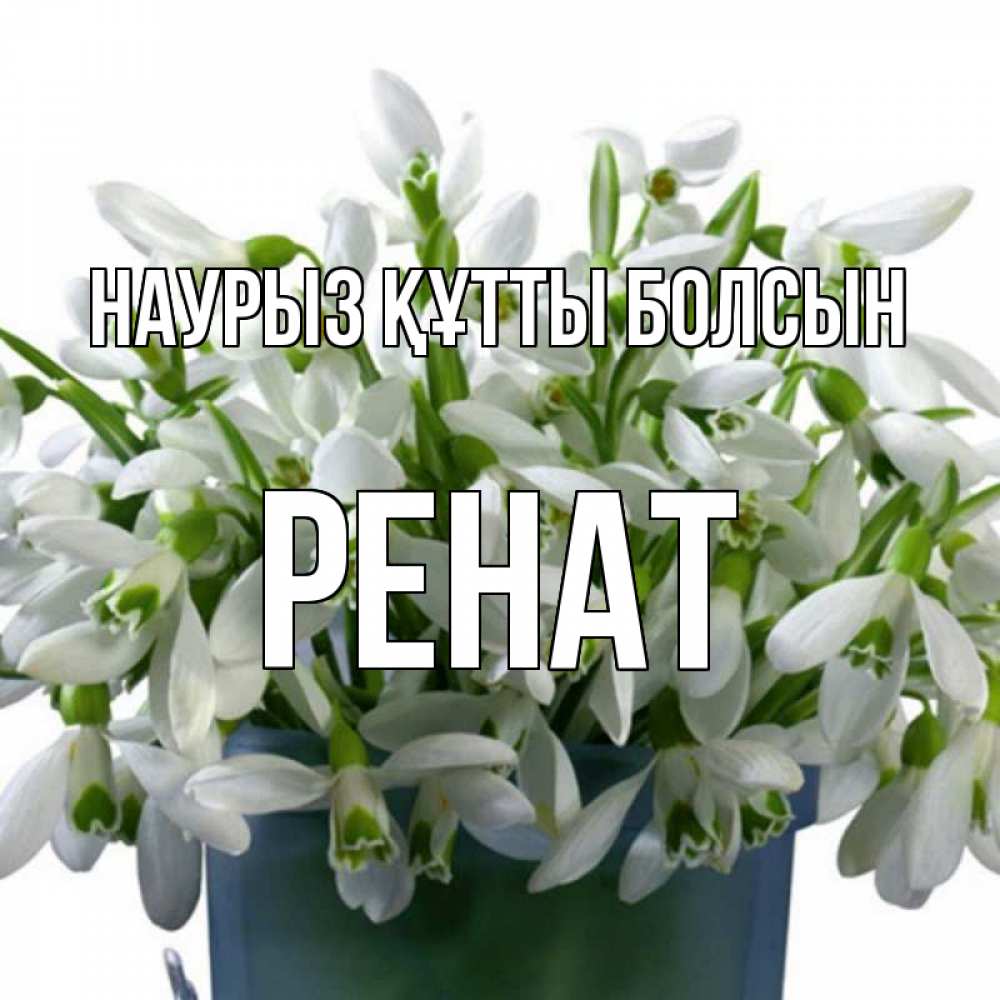 Күн сайын ашық хат с именем, РЕНАТ Наурыз құтты болсын цветы к наурызу Онлайн тегін жүктеп алу тілектері бар керемет карта 