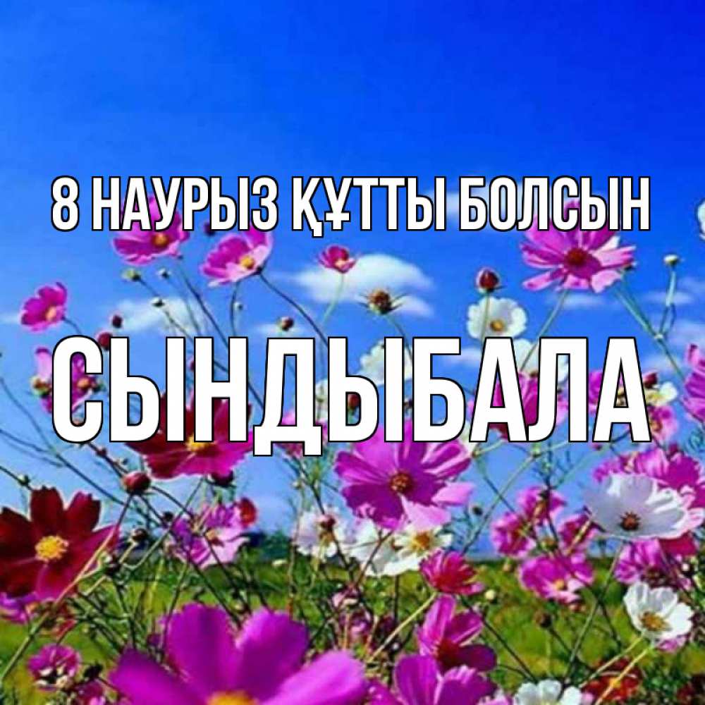 Күн сайын ашық хат с именем, СЫНДЫБАЛА 8 наурыз құтты болсын цветы Онлайн тегін жүктеп алу тілектері бар керемет карта 