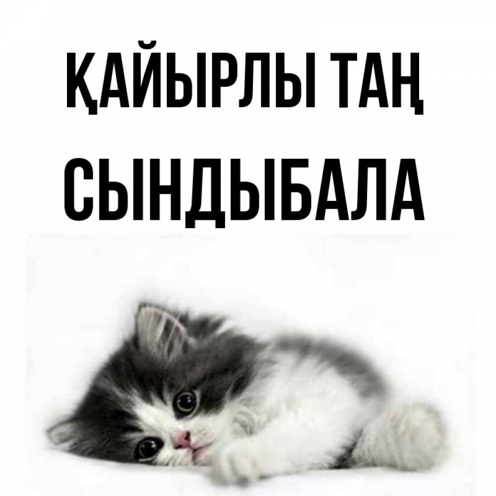 Күн сайын ашық хат с именем, СЫНДЫБАЛА Қайырлы таң кот лапки Онлайн тегін жүктеп алу тілектері бар керемет карта 