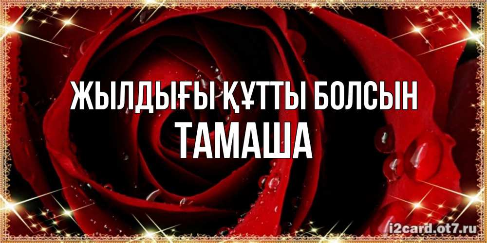 Күн сайын ашық хат с именем, ТАМАША Жылдығы құтты болсын цветок в росе на день рождения Онлайн тегін жүктеп алу тілектері бар керемет карта 