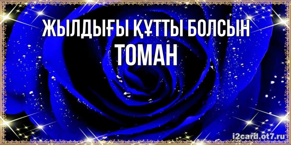 Күн сайын ашық хат с именем, ТОМАН Жылдығы құтты болсын голубые цветы в росе Онлайн тегін жүктеп алу тілектері бар керемет карта 
