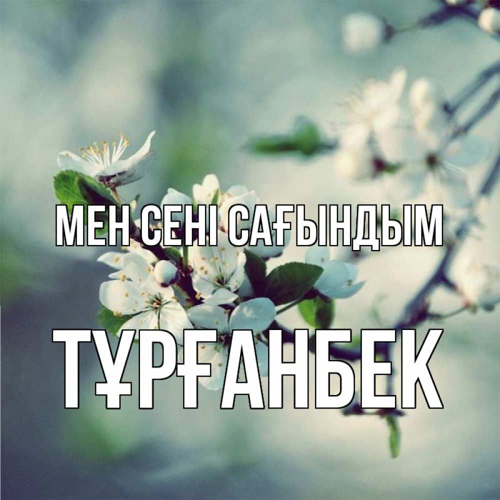 Күн сайын ашық хат с именем, ТҰРҒАНБЕК Мен сені сағындым весна Онлайн тегін жүктеп алу тілектері бар керемет карта 