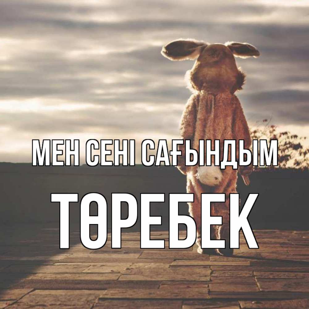 Күн сайын ашық хат с именем, ТӨРЕБЕК Мен сені сағындым даже в костюме зайца Онлайн тегін жүктеп алу тілектері бар керемет карта 