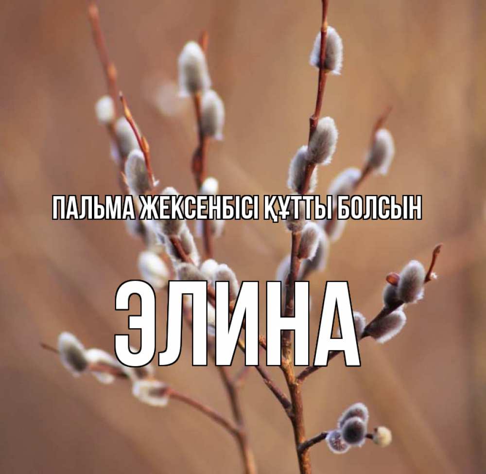 Күн сайын ашық хат с именем, Элина Пальма жексенбісі құтты болсын верба Онлайн тегін жүктеп алу тілектері бар керемет карта 
