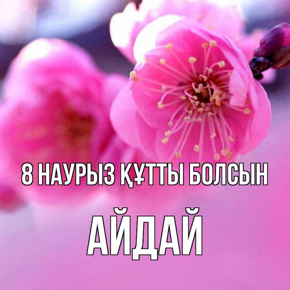 Күн сайын ашық хат с именем, АЙДАЙ 8 наурыз құтты болсын международный женский день Онлайн тегін жүктеп алу тілектері бар керемет карта 