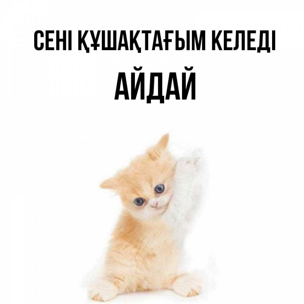 Күн сайын ашық хат с именем, АЙДАЙ сені құшақтағым келеді я хочу очень скорее обнимаешек Онлайн тегін жүктеп алу тілектері бар керемет карта 