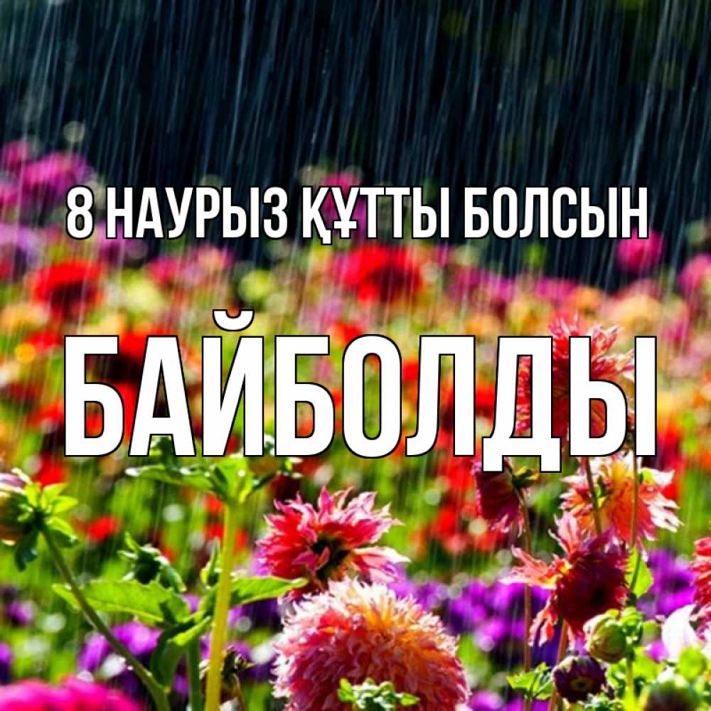 Күн сайын ашық хат с именем, Байболды 8 наурыз құтты болсын цветы под дождиком к международному женскому дню Онлайн тегін жүктеп алу тілектері бар керемет карта 