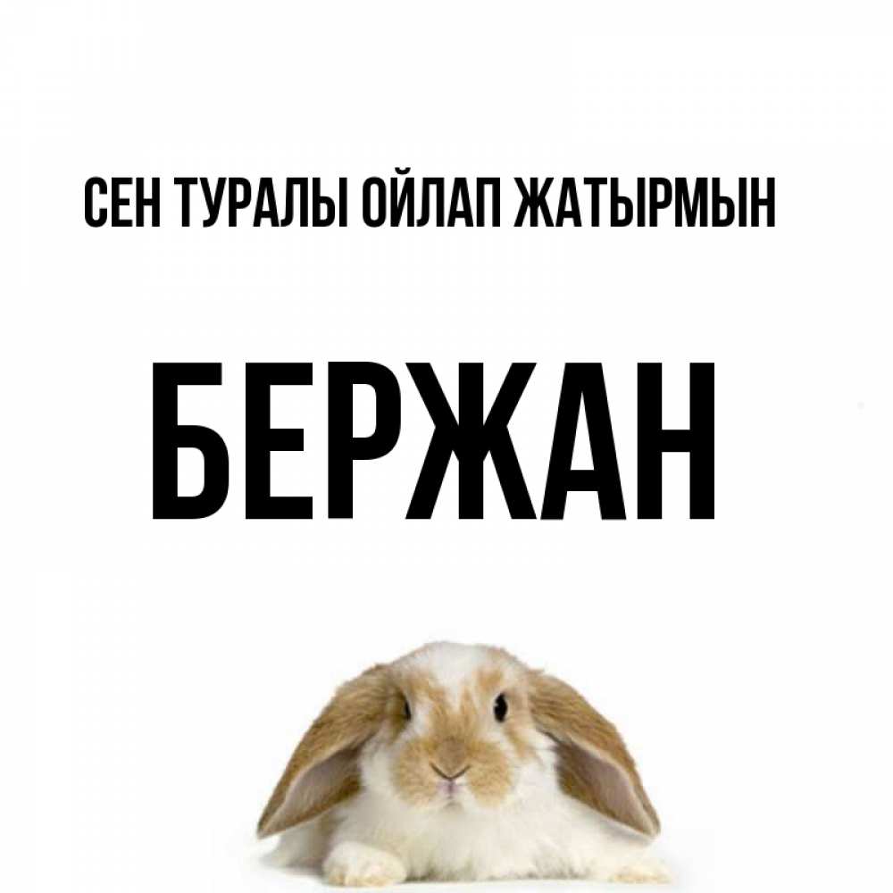Күн сайын ашық хат с именем, Бержан Сен туралы ойлап жатырмын подписать своими руками онлайн Онлайн тегін жүктеп алу тілектері бар керемет карта 