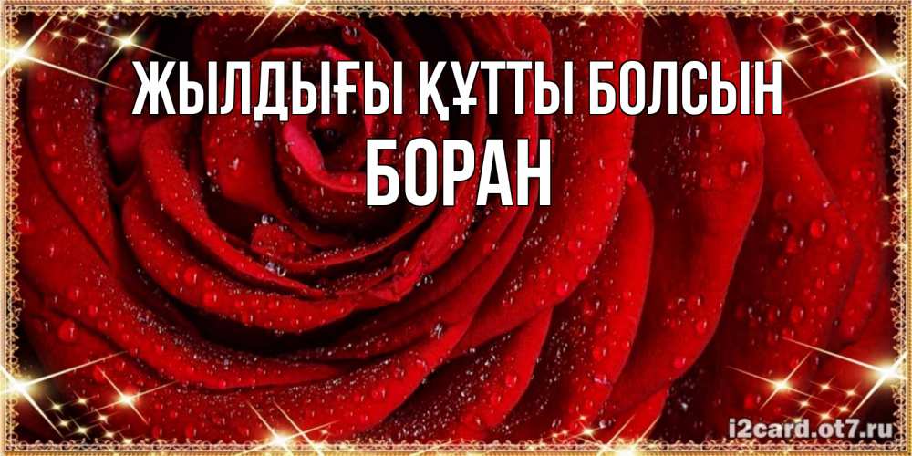 Күн сайын ашық хат с именем, Боран Жылдығы құтты болсын роса на розе блестящая в лучах солнца Онлайн тегін жүктеп алу тілектері бар керемет карта 