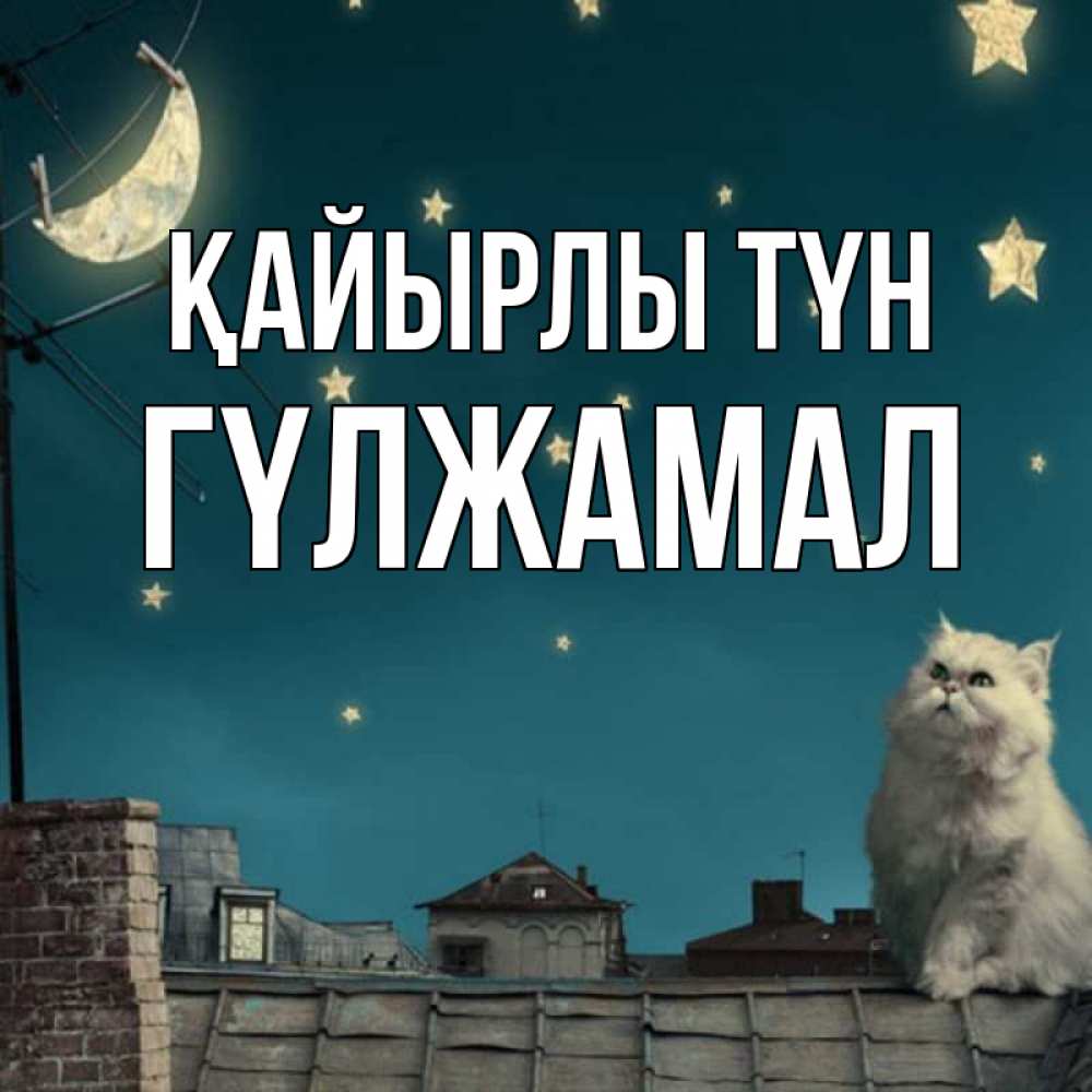 Күн сайын ашық хат с именем, ГҮЛЖАМАЛ Қайырлы түн белый кот сидит на крыше Онлайн тегін жүктеп алу тілектері бар керемет карта 
