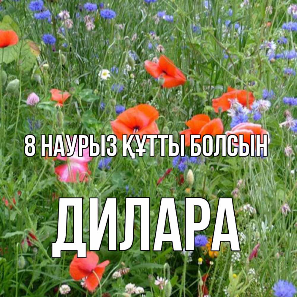 Күн сайын ашық хат с именем, Дилара 8 наурыз құтты болсын международный женский день 4 Онлайн тегін жүктеп алу тілектері бар керемет карта 