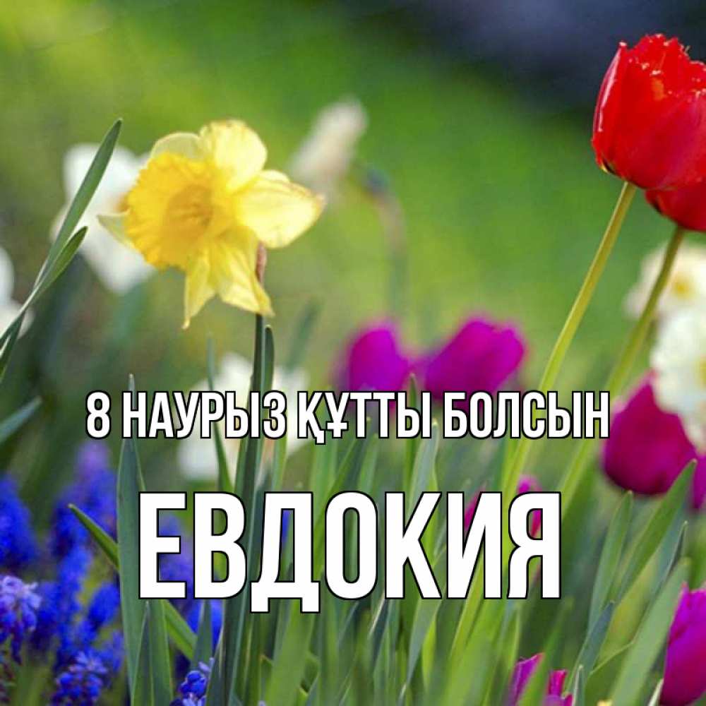 Күн сайын ашық хат с именем, Евдокия 8 наурыз құтты болсын международный женский день 3 Онлайн тегін жүктеп алу тілектері бар керемет карта 