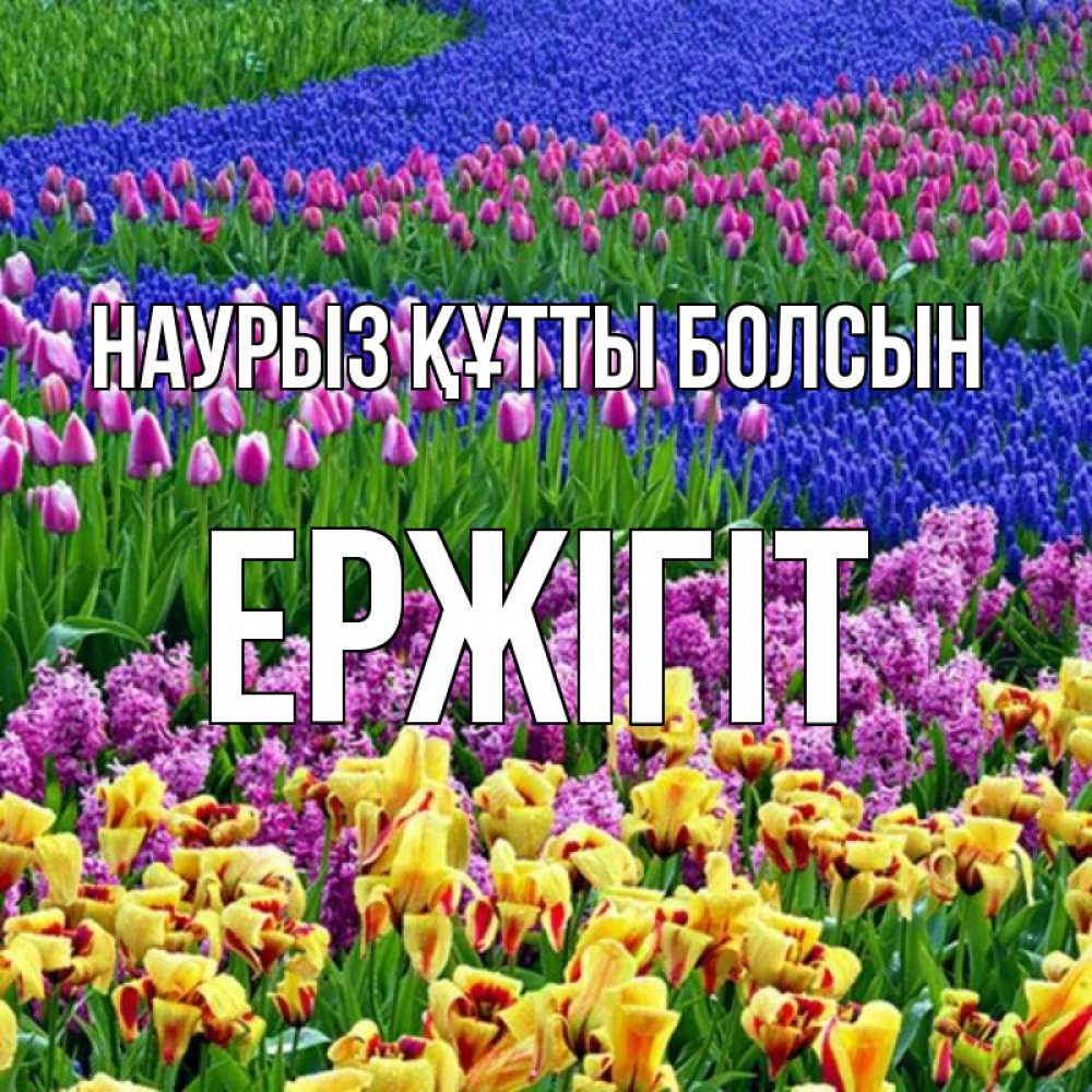 Күн сайын ашық хат с именем, Ержігіт Наурыз құтты болсын цветы Онлайн тегін жүктеп алу тілектері бар керемет карта 