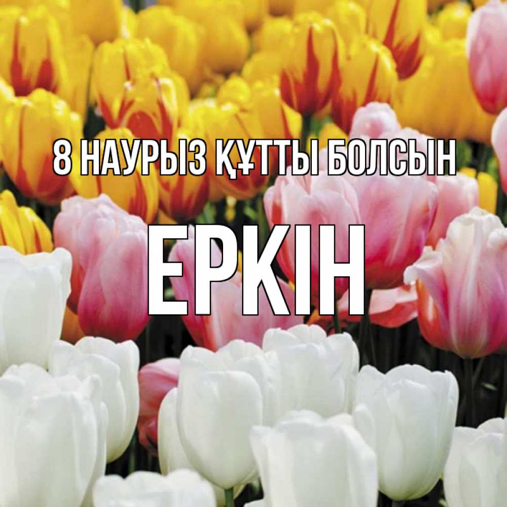 Күн сайын ашық хат с именем, Еркін 8 наурыз құтты болсын разноцветные цветы Онлайн тегін жүктеп алу тілектері бар керемет карта 