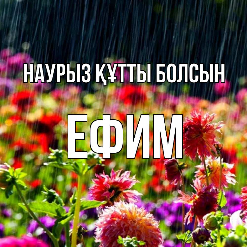 Күн сайын ашық хат с именем, Ефим Наурыз құтты болсын цветы под дождиком к наурызу Онлайн тегін жүктеп алу тілектері бар керемет карта 