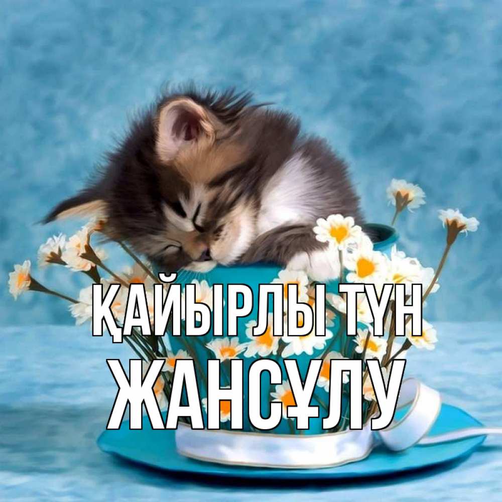 Күн сайын ашық хат с именем, Жансұлу Қайырлы түн котенок спит в кружке с блюдцем Онлайн тегін жүктеп алу тілектері бар керемет карта 