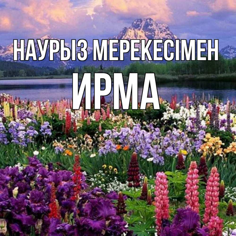 Күн сайын ашық хат с именем, Ирма Наурыз мерекесімен праздник весны наурыз Онлайн тегін жүктеп алу тілектері бар керемет карта 