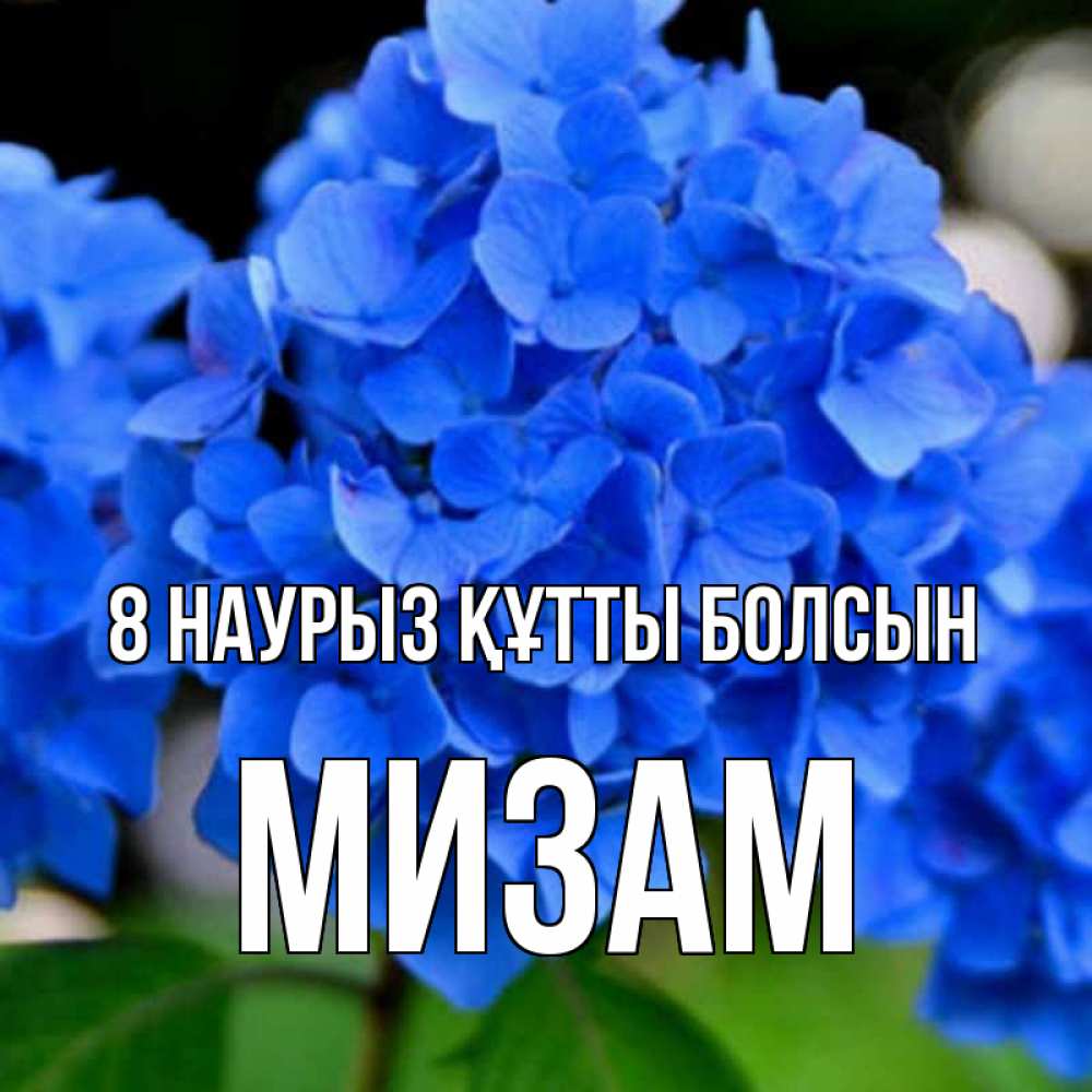 Күн сайын ашық хат с именем, МИЗАМ 8 наурыз құтты болсын синие цветы Онлайн тегін жүктеп алу тілектері бар керемет карта 