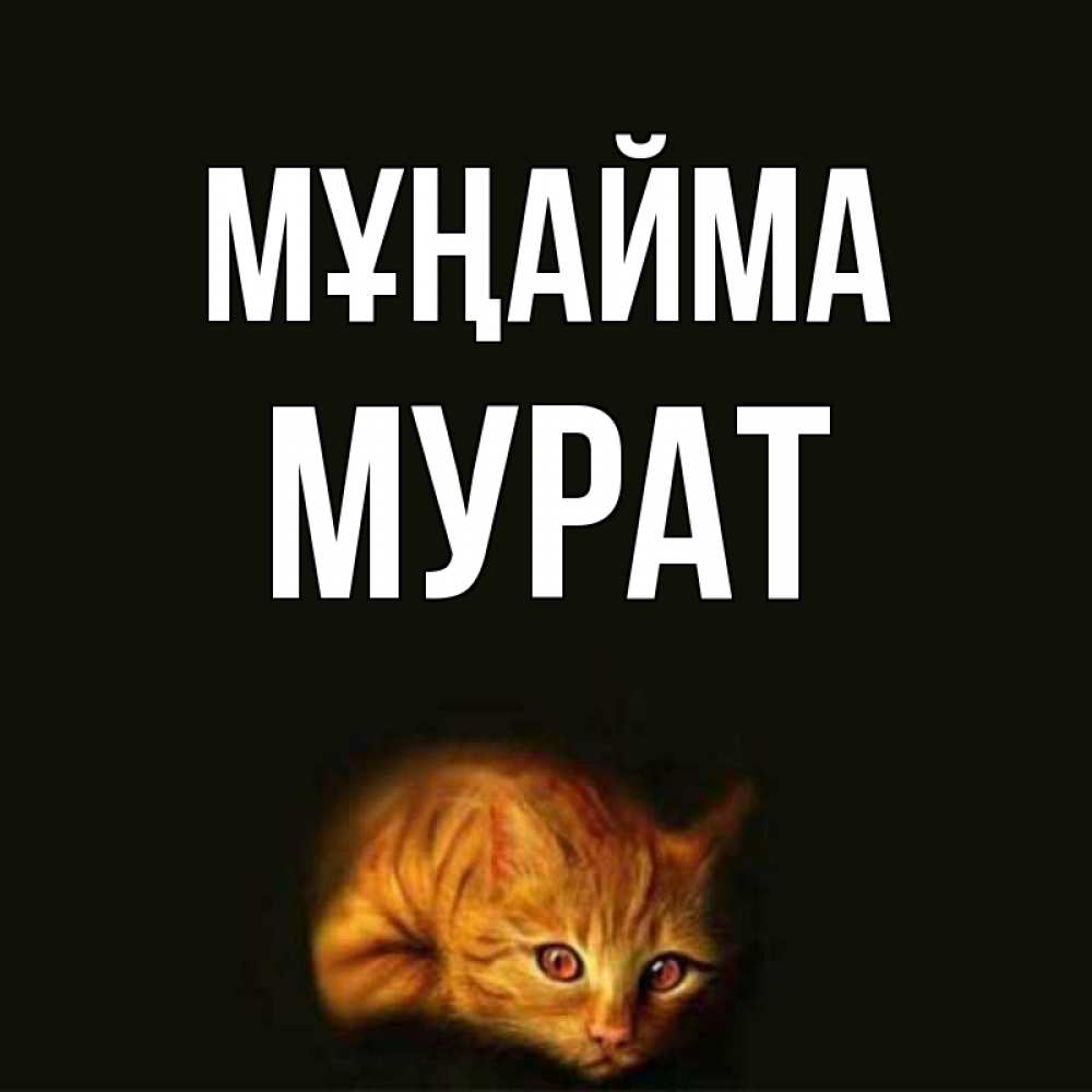 Күн сайын ашық хат с именем, Мурат Мұңайма лежащий кот в темноте Онлайн тегін жүктеп алу тілектері бар керемет карта 